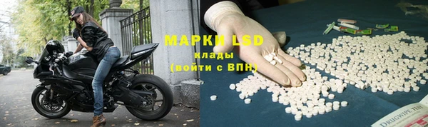 ГАЛЛЮЦИНОГЕННЫЕ ГРИБЫ Алексин