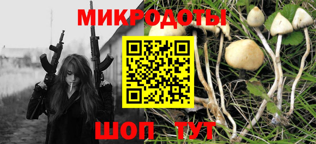 Великий Новгород  Псилоцибиновые грибы Psilocybe  Вход с VPN  Галлюциногенные грибы прущие грибы 